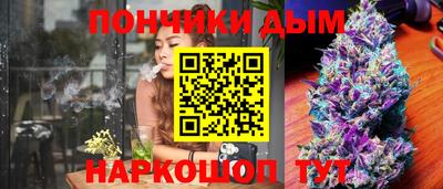 индика Обнинск