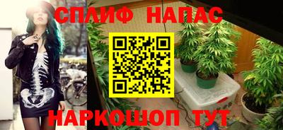 молекула духа Нягань